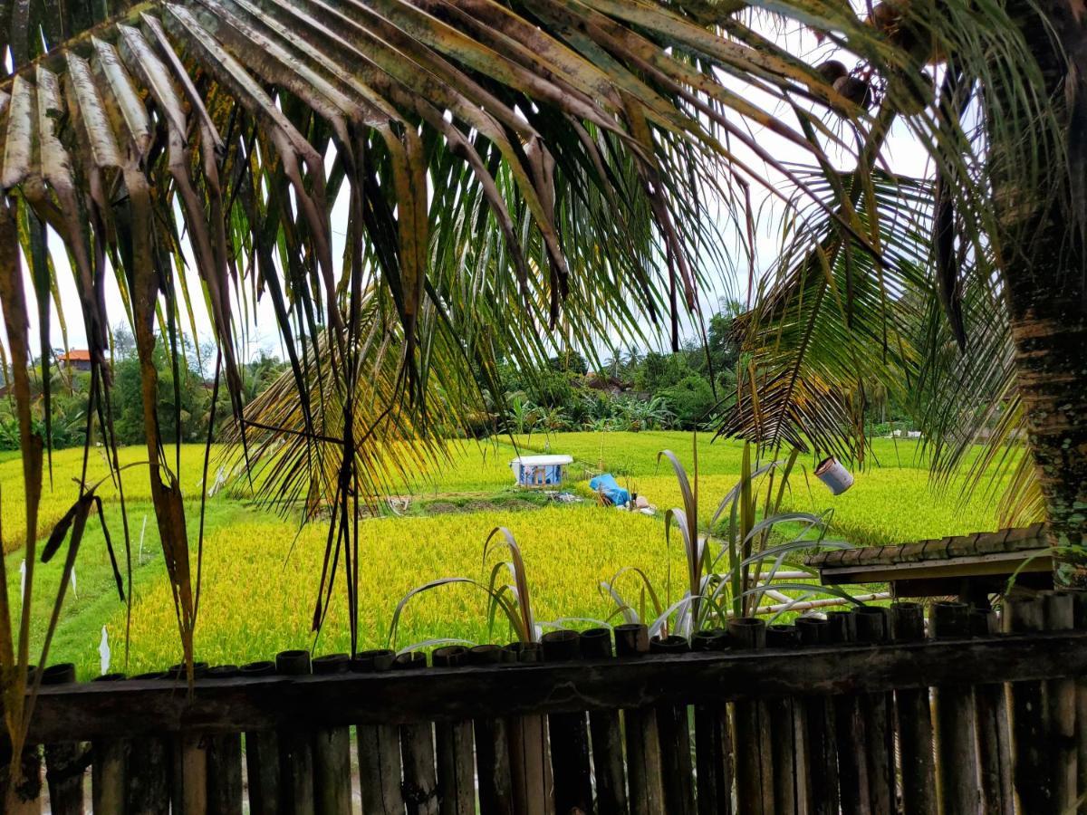 Kakau Villa 2 - Ubud Εξωτερικό φωτογραφία